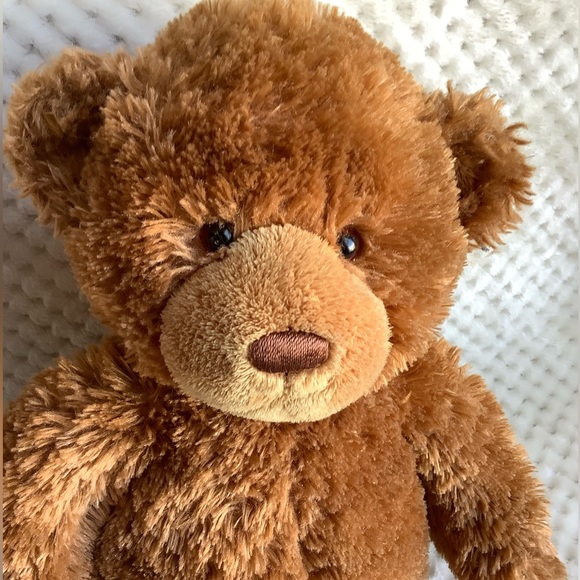 GUND Squeezer 46536 Brown Plush Bear Stuffed Animal Toy 🧸 - Picture 3 of 13